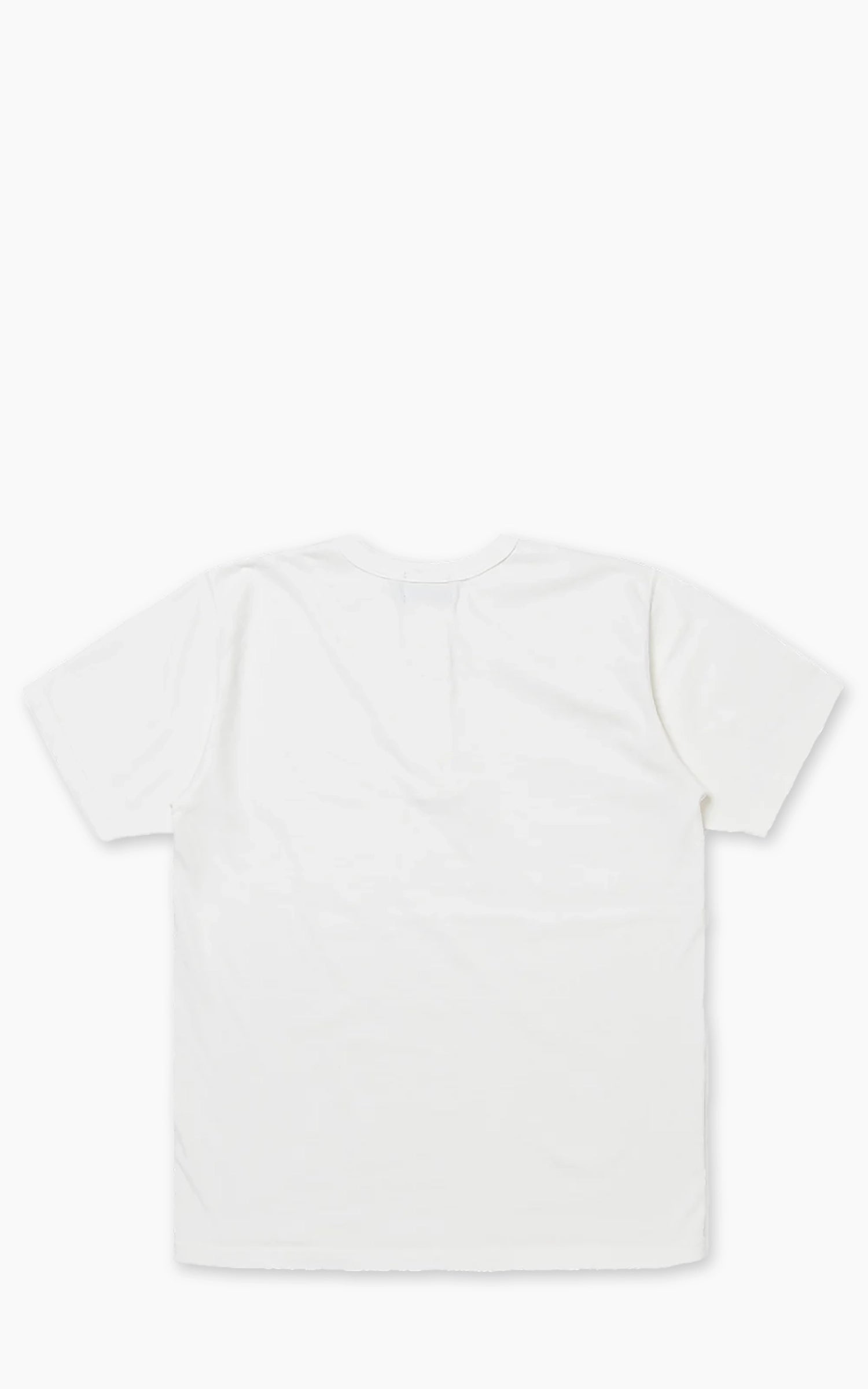 Studio D'Artisan 8174 Suvin Gold Henley White