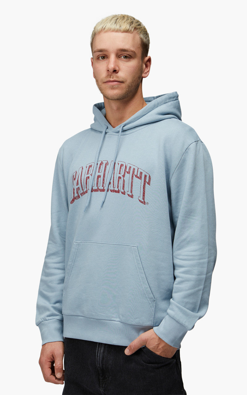 Carhartt WIP Hooded Scrawl Sweatshirt Misty Sky/Corvina