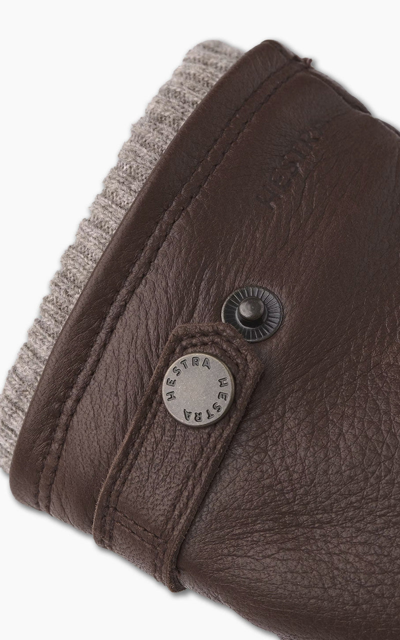 Hestra Utsjö Chestnut