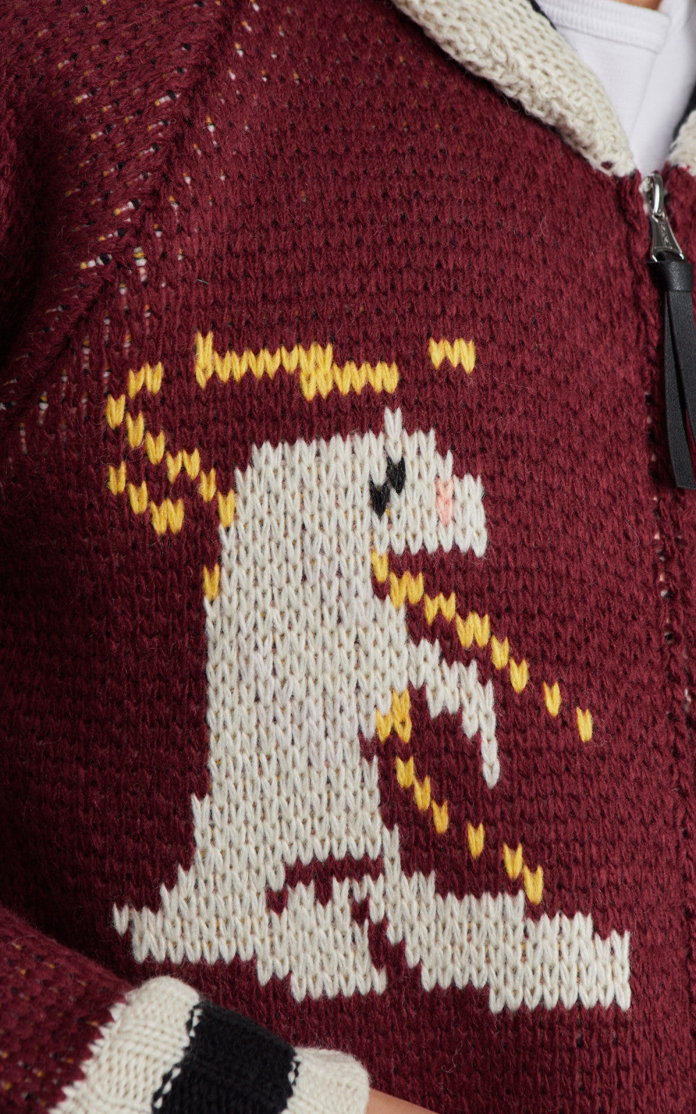 Houston Souvenir (Bear) Cowichan Sweater Marron