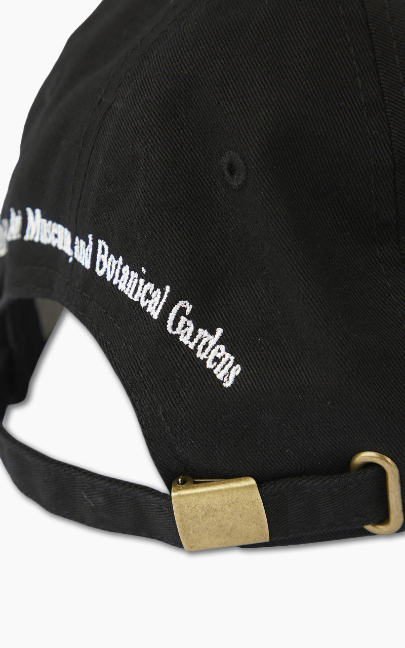 Museum of Peace & Quiet Library Dad Hat Black