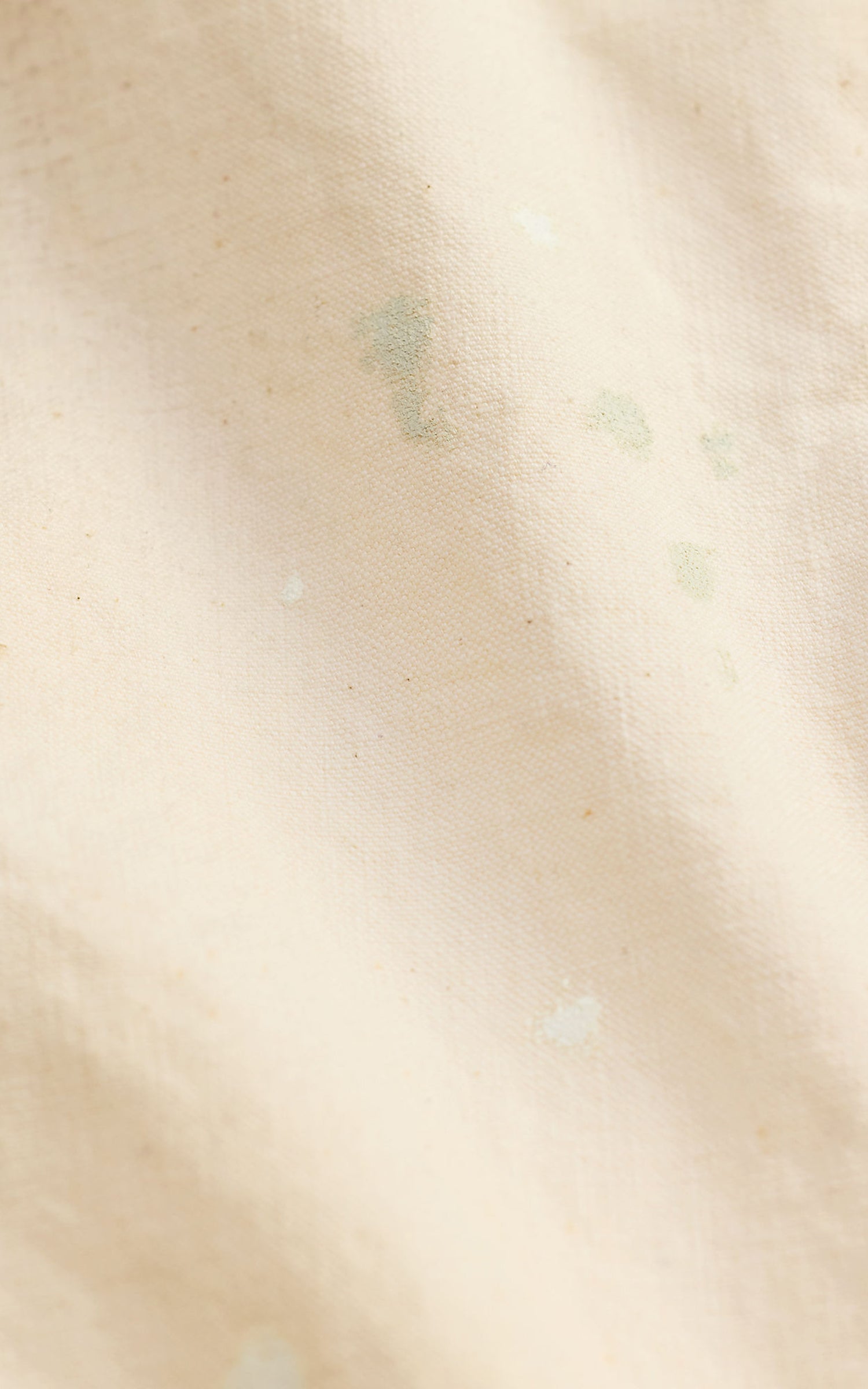 RRL Engineer Fit Canvas Carpenter Trouser Seeded Natural