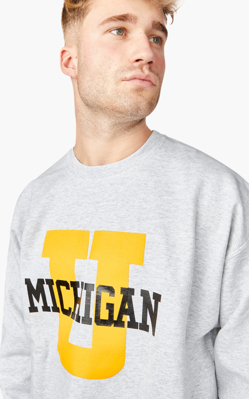 Wild Donkey FG Umich Sweatshirt Ash