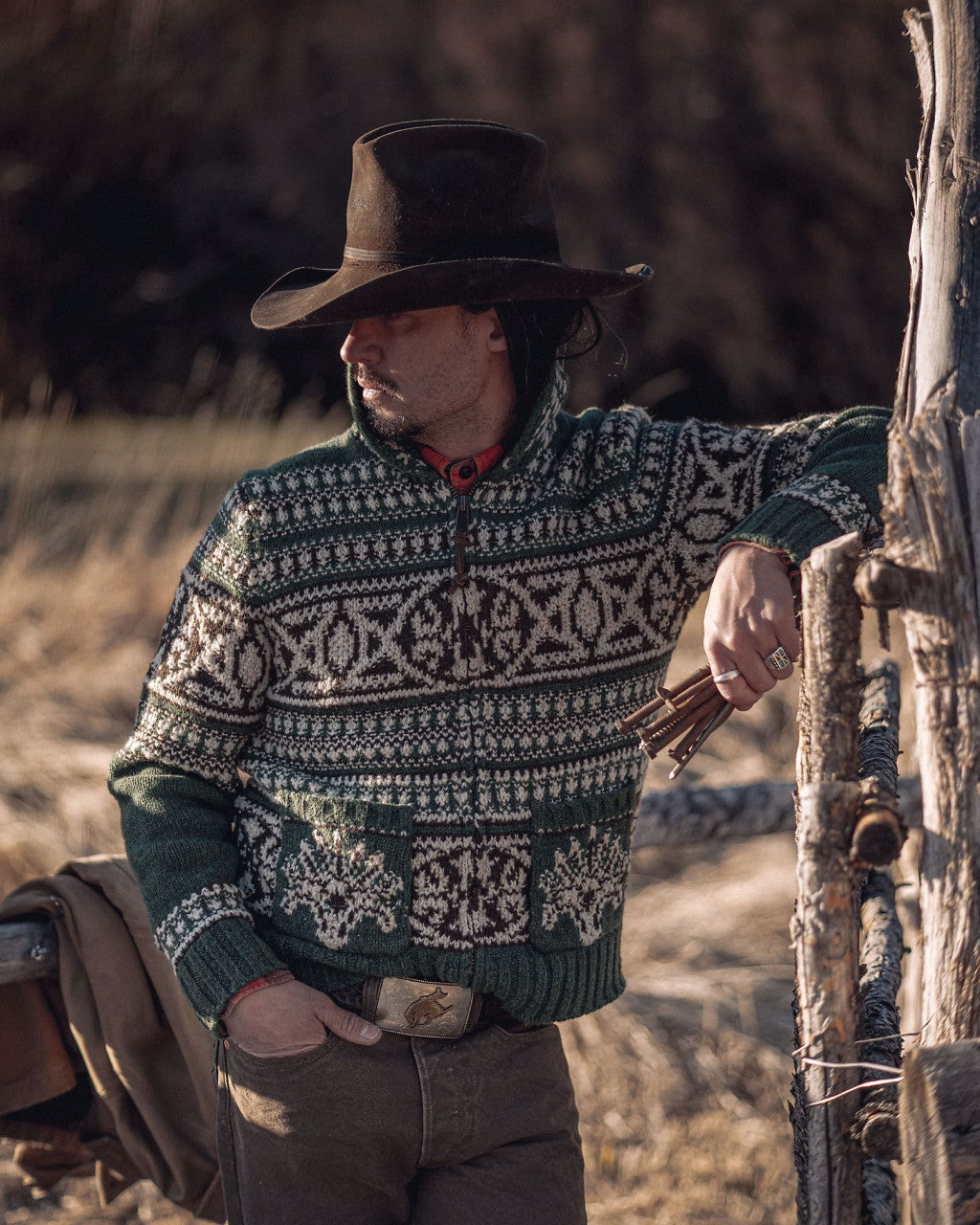 RRL Wool Shawl Collar Cardigan Green Multi