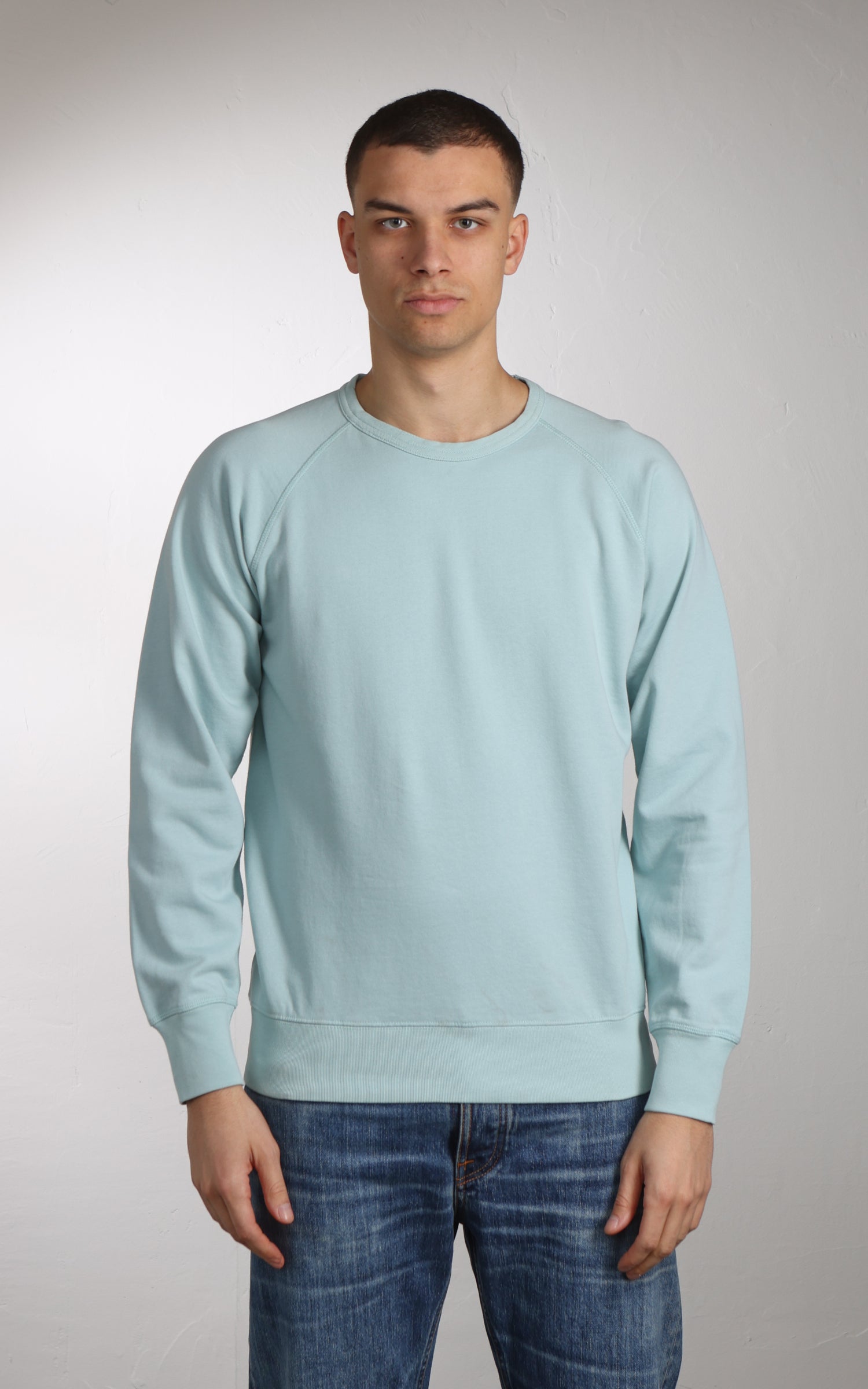 Flea-T Sweatshirt Plain Pigment Dyed Mint