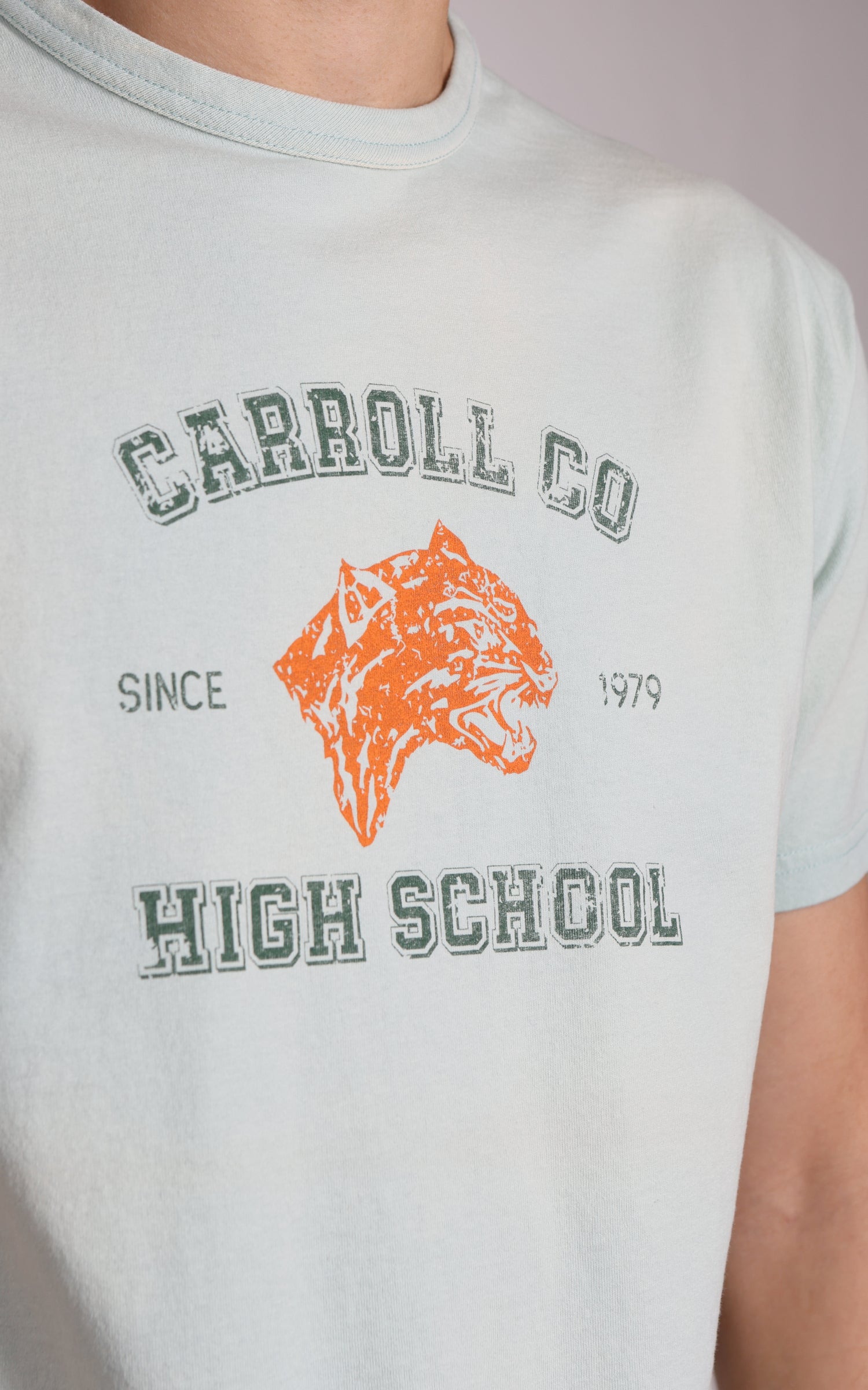 Flea-T T-Shirt Carroll Co. Pigment Dyed Grey