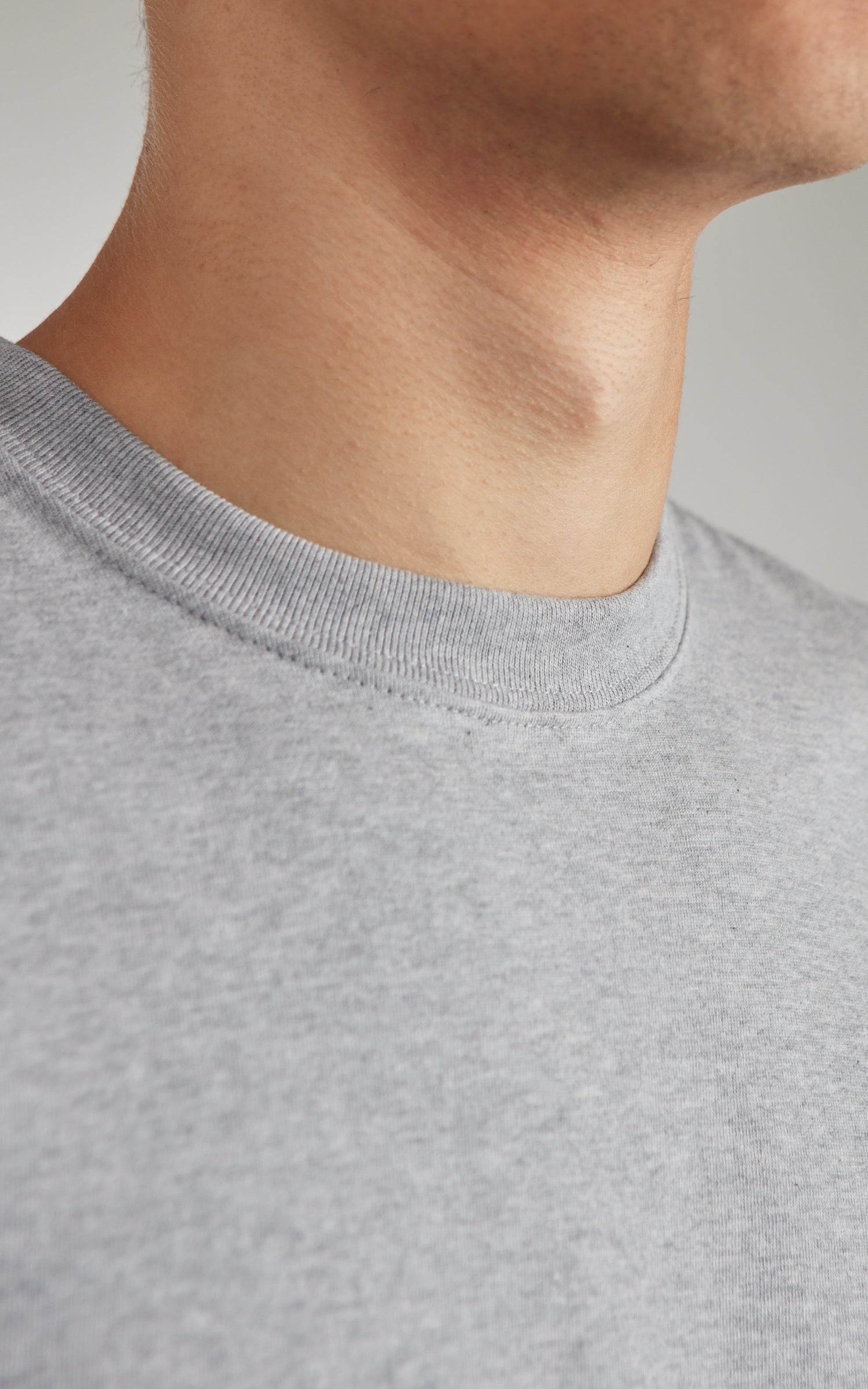 House Of Blanks Heavyweight T-Shirt Heather Grey